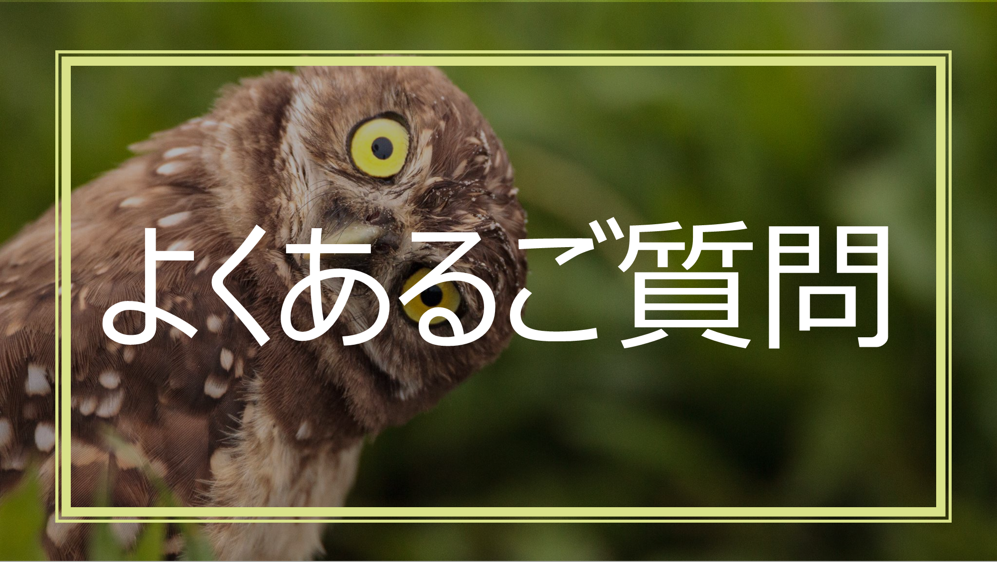 船橋市で税理士をお探しの方へ。フリーランス・個人事業主・法人の方に向けた確定申告、法人税、消費税、税務調査、節税対策などに関するよくある質問と回答を掲載｜森亮公認会計士・税理士事務所（船橋）